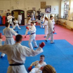 WKU Squad training sessions at the Bristol Karate Club Dojo, January 2015